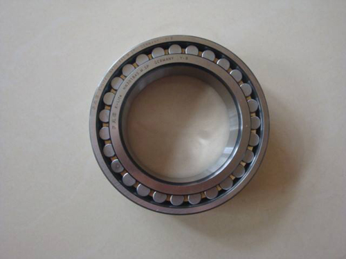 polyamide cage bearing 6305